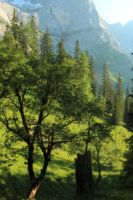 2015-07-01_2Drijaggenalm (255).JPG